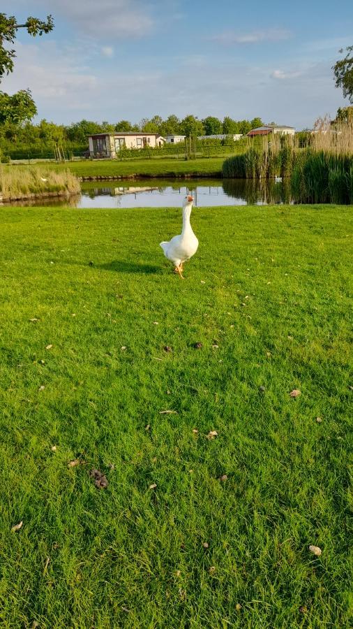 'T Groentje Baarland Ngoại thất bức ảnh